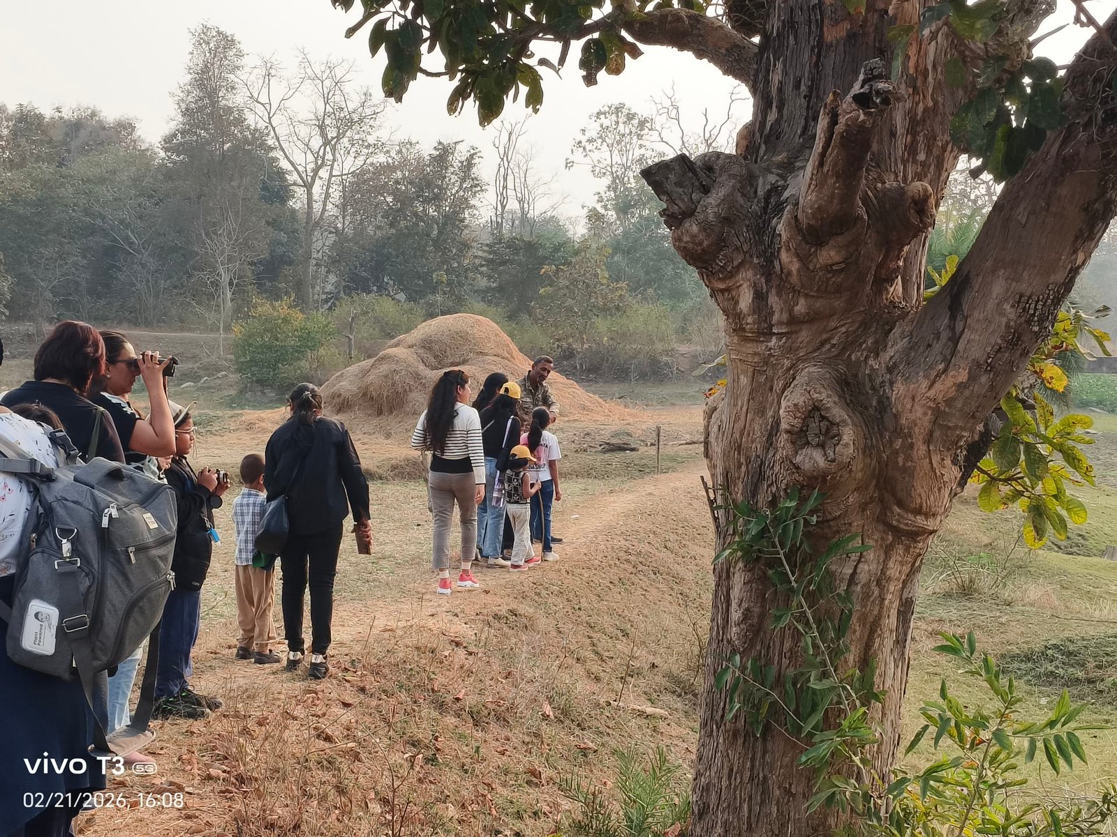 Local Activities