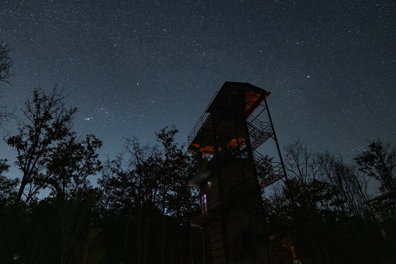 Star Gazing